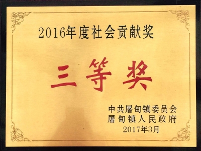 2016年度社会贡献奖_看图王